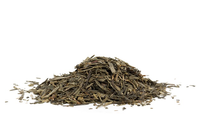 Jakie są kluczowe składniki zielonej herbaty?